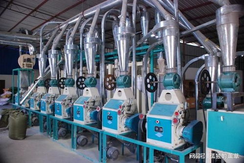 2025年11月面粉機廠家推薦 產能、專利與環(huán)保三維數(shù)據(jù)透視